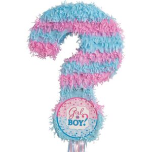 Gender Reveal Question Mark 3D Pinata