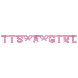Pastel Pink Its a Girl Banner