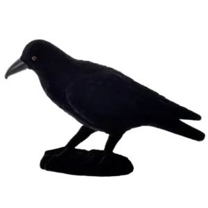 Flocked Black Crow